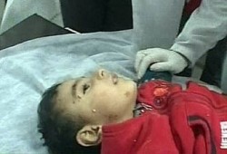 313 طفلاً شهداء العدوان الصهيوني على غزة