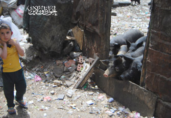 روشتة للوقاية من إنفلونزا الخنازير بصالون عليوة