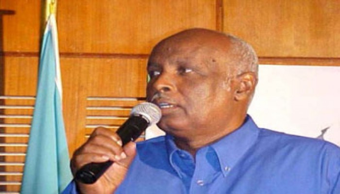 الصومال تتهم إريتريا بتهريب أسلحة إلى المتمردين