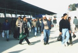 227 ألف عاطل عن العمل في فلسطين خلال 2008م