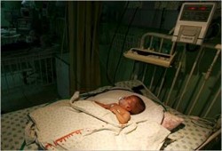 ارتفاع عدد شهداء حصار غزة إلى 320