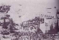 جهاد الإخوان في فلسطين.. شهادات ورؤى