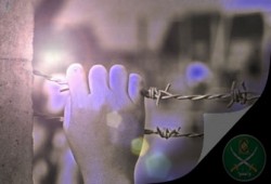 اعتقال 2 بالأقصر والإفراج عن 8 بالشرقية