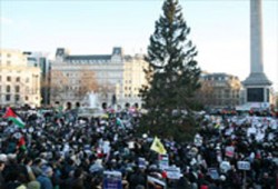 إقبال بريطاني على فعاليات دعم غزة