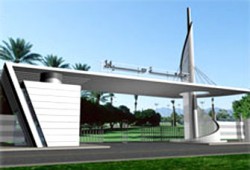 نصرة غزة بجامعة دمياط وفصل 11 طالبًا بالإسكندرية