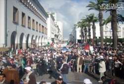 المغرب.. استئناف التضامن مع فلسطين