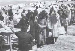 دولة الهجرة وعصابة التهجير