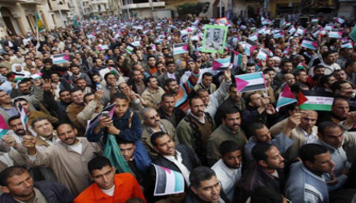 25 ألف متظاهر بالبحيرة وأساتذة المنصورة يكرِّمون د. غنيم