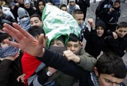 7 شهداء صباح اليوم الـ17 لمجزرة غزة