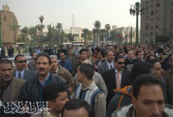 محافظات مصر تواصل انتفاضتها لليوم العاشر لدعم غزة