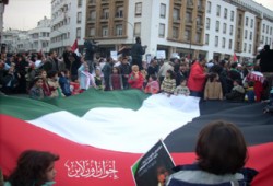 "مجزرة غزة" توحِّد الشعب المغربي وتشعل الحس القومي