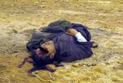 الكونجرس يُحمِّل إدارة بوش مسئولية الانتهاكات الإنسانية بالعراق