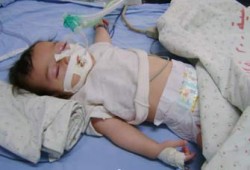 القوى الوطنية تبحث سبل مواجهة كارثة غزة