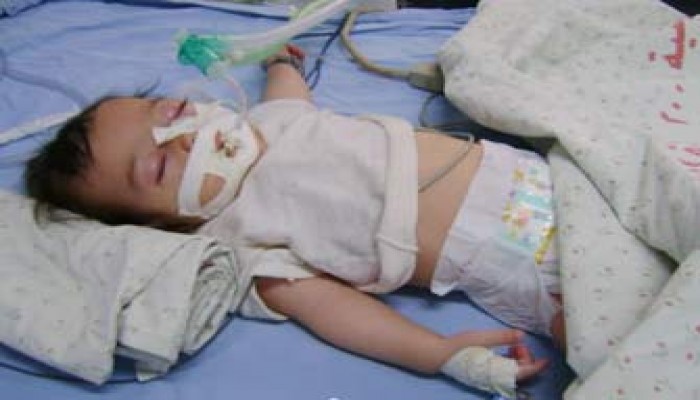 القوى الوطنية تبحث سبل مواجهة كارثة غزة