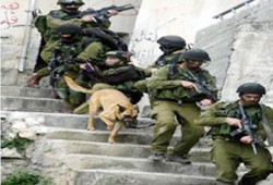 عملية عسكرية للاحتلال والمقاومة ترد بـ14 صاروخًا