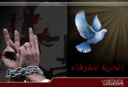 المحكمة تقرر الإفراج عن 12 بالشرقية والداخلية تستأنف