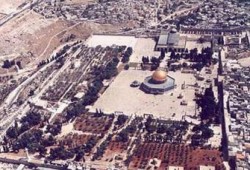 أكثر من 5 آلاف شهيد منذ انطلاق انتفاضة الأقصى الثانية