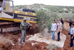 استشهاد فلسطيني برصاص مغتصبين في نابلس