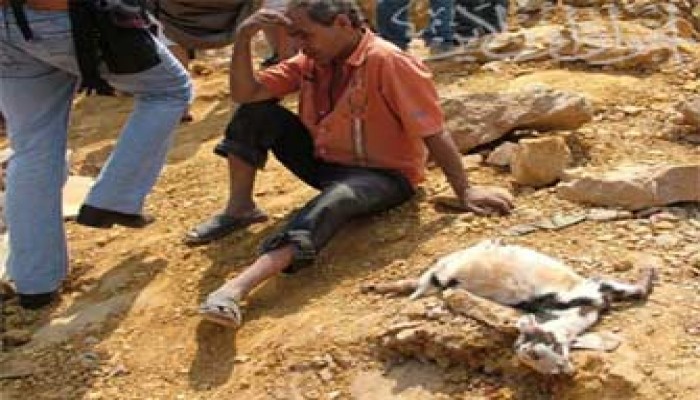 لكِ الله يا مصر