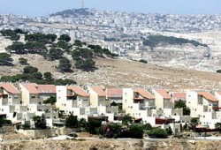 440 موقعًا مغتصبًا في الضفة خلال عام