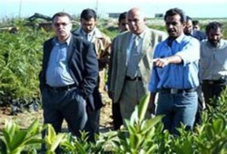 حكومة هنية ترسم مخطَّطًا عمرانيًّا للأراضي المحررة بغزة