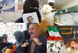 نشطاء عرب يتدربون في أمريكا على إدارة الانتخابات في بلادهم