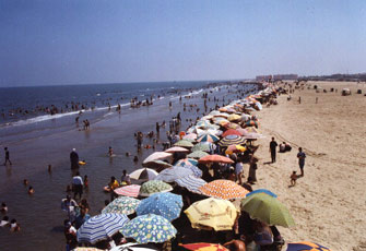 د. هند عبد الله تكتب عن: البنات والصيف