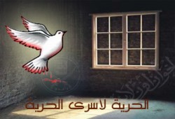 إخلاء سبيل خمسة من إخوان المنوفية