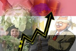 الحكومة العرجاء