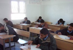 سمية مشهور تكتب: أبناؤنا والامتحانات