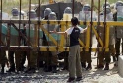 مسئول دولي: وضع السجناء أفضل من سكان غزة