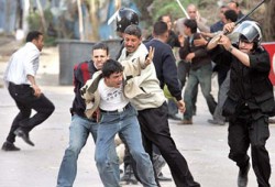 الإفراج عن 7 من مناصري غزة بالقليوبية