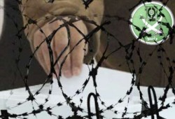 هل أخطأ الإخوان في دخول المحليات؟!
