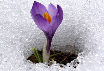 التفاؤل.. من أخلاق الكبار