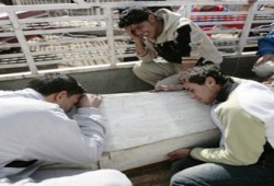 50 قتيلاً عراقيًّا ضحية زيارة وزير الدفاع الأمريكي!!