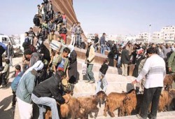 "مجلس حقوق الإنسان الدولي" يطالب برفع فوري للحصار عن غزة