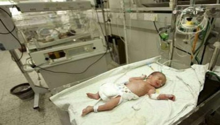 مصر.. قافلة غذائية وطبية لفك الحصار عن غزة الجمعة القادم