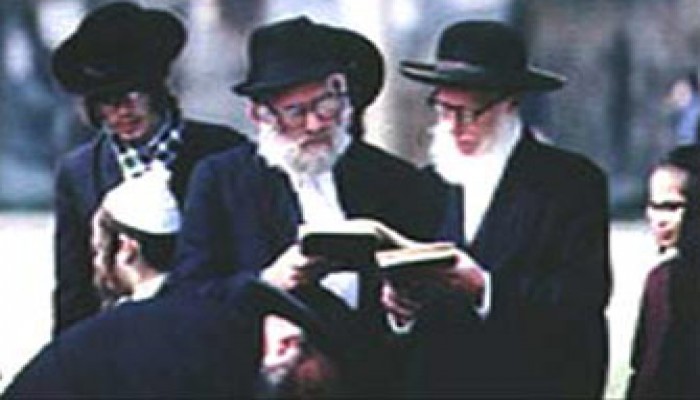 نيويورك تستضيف أول أسبوعٍ للعنصرية الصهيونية