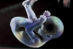 أمريكا تزداد فردًا كل 13 ثانية ونيفادا الأسرع نموًّا