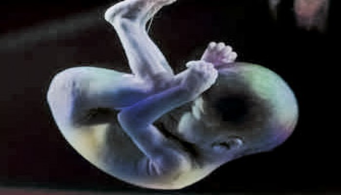 أمريكا تزداد فردًا كل 13 ثانية ونيفادا الأسرع نموًّا