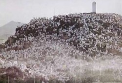 حجاج بيت الله يتوافدون على جبل عرفات لأداء ركن الحج الأعظم