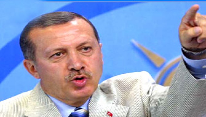 حكومة أردوغان الثانية تحصل على ثقة البرلمان التركي