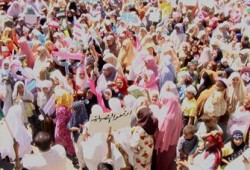 دراسة أمريكية: نساء الحركات الإسلامية غيَّرن مسارات العمل السياسي