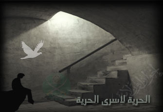 الإفراج عن 6 من إخوان القليوبية وتجديد حبس اثنين آخرين