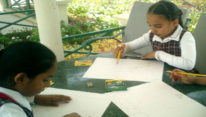 المدارس الأجنبية.. هوس يهدد التعليم