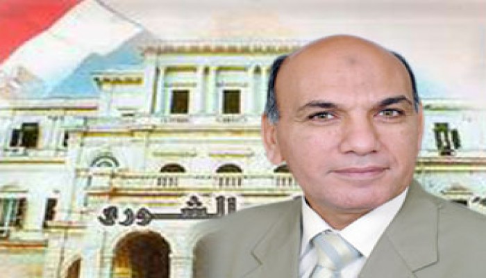 الأدهم مرشح دمياط: مشكلات الخشب والصيادين على رأس اهتماماتي