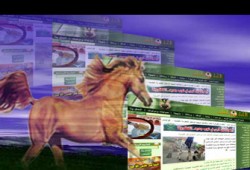 (إخوان أون لاين) في عيون الخبراء ورجال الإعلام