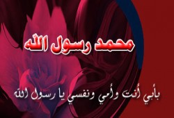 د. يسري هانئ يكتب: جوانب العظمة في حياة الرسول القدوة