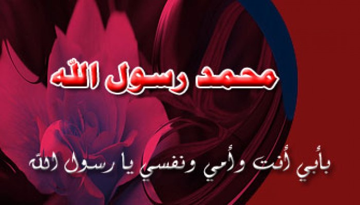 د. يسري هانئ يكتب: جوانب العظمة في حياة الرسول القدوة