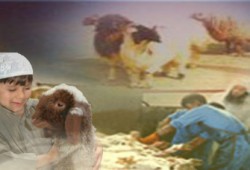 مشروع تجميع جلود الأضاحي.. نجاح اقتصادي وتكافل اجتماعي